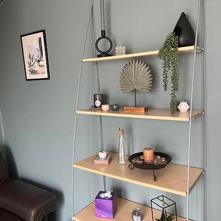 דירה Chez Stef סן-דיזייה